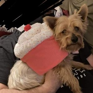 Cupcake Dog Costume - Medium